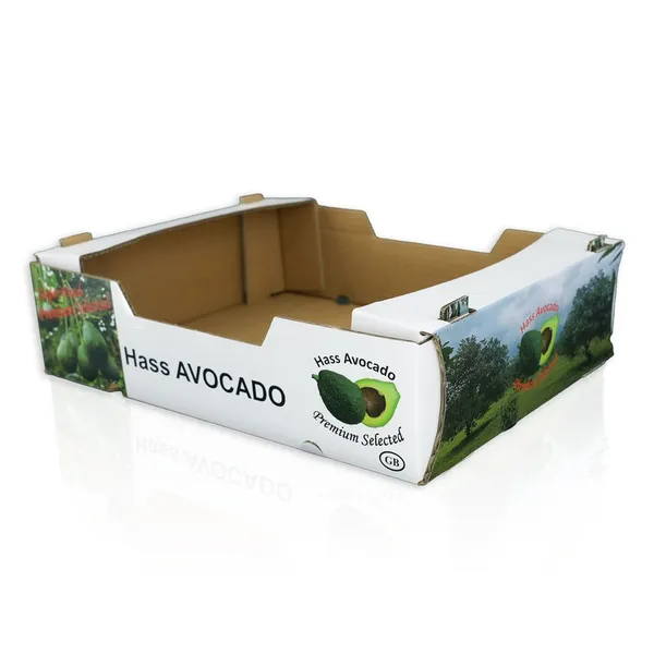 Corrugated Fruit Box for Avocado Printed Cardboard Packaging for Fresh Produce photo-4