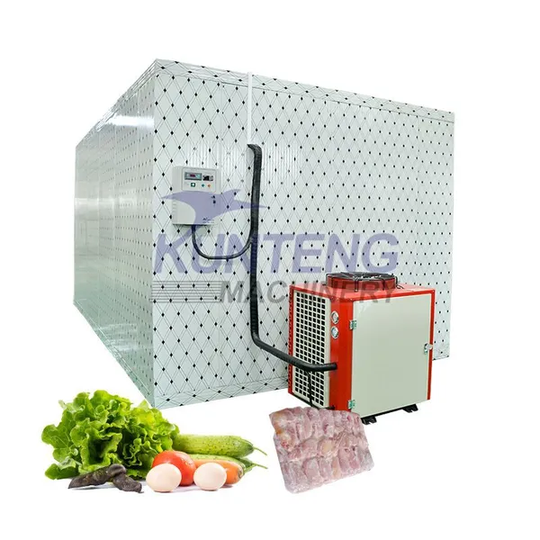 Small Cold Room Refrigerator Freezer Equipment for Meat Fish Potato Flower