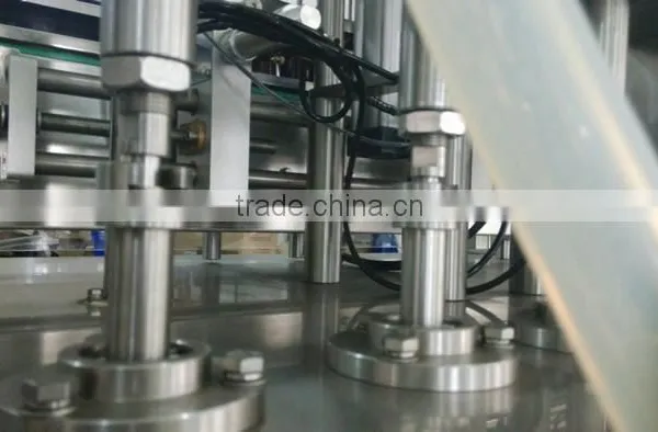 Automatic Liquid Detergent Filling Machine photo-6