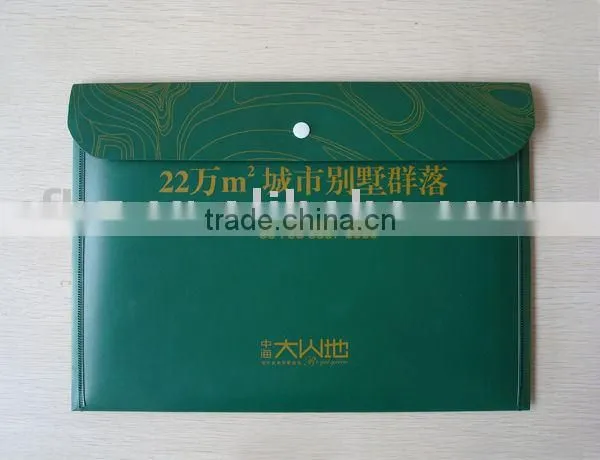 Document bag