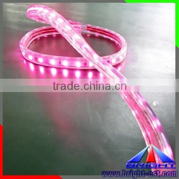 220v LED Strip photo-5