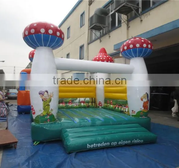 Best Selling Inflatable Bounce Castle Inflatable Combo for Children Quality Choice photo-4