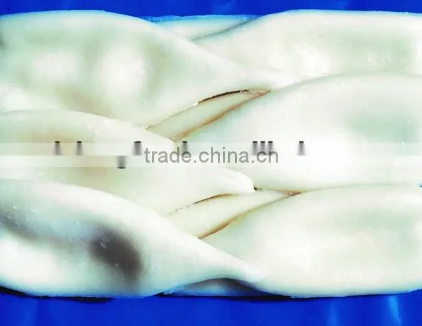 Frozen Squid Tube Todarodas Pacificus BQF