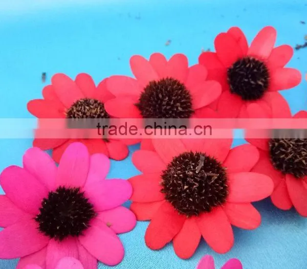 Colorful Wooden Sunflower Diffuser Reed Stick photo-4