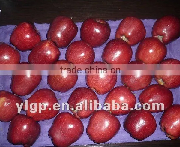 Fresh Huaniu Apple 2015