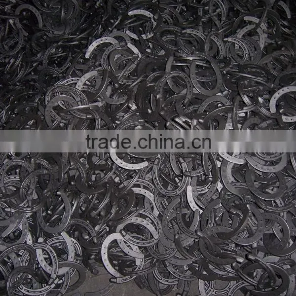 Horseshoe, Equestrian, Horseshoe Nail photo-5