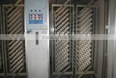 Automatic Egg Hatcher Incubator photo-6