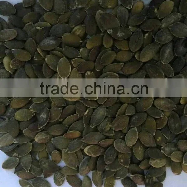 Pumpkin Seeds Grown Without Shell Kernels photo-2