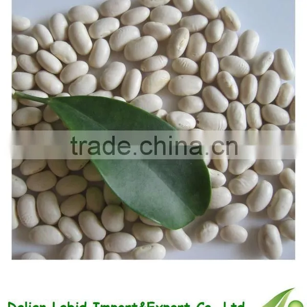 Good Quality Dry Garden Japanese Beans For Sale 2016 Crop