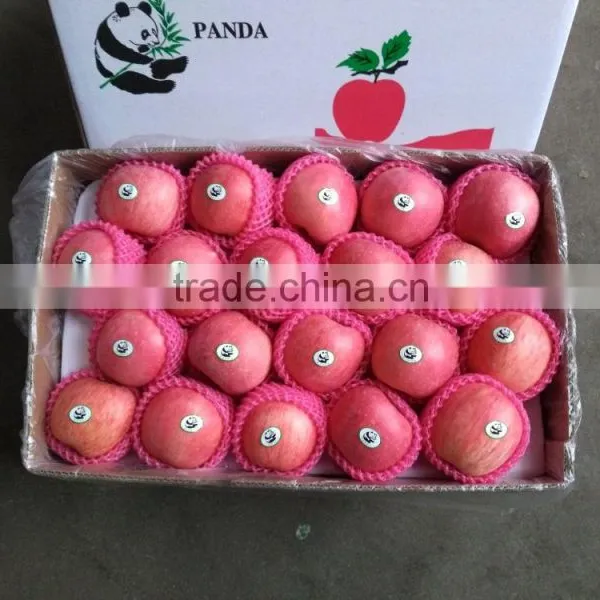 Common Cultivation Type Best Price Fuji Apple