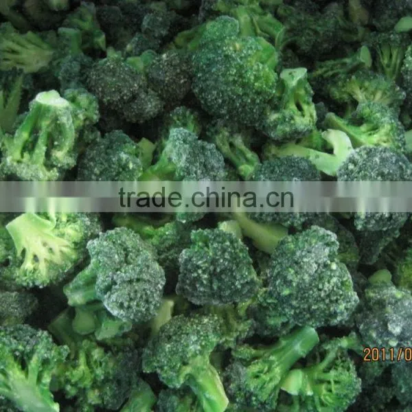 Frozen Vegetable Broccoli 3-5cm
