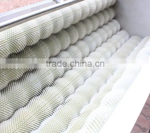2016 New Type Peeler Type Potato Processing Washing Washer Machine / Equipment With 8 Pcs Brushes photo-6