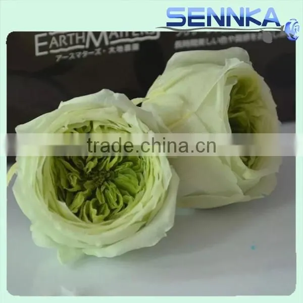 Valentine's Day Gifts Wholesale Preserved Roses Flower Austin Rose With Red,yellow,white,reen Color photo-4