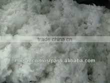 Surgical Raw Cotton