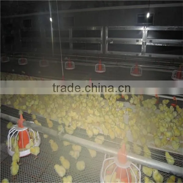Chicken Automatic Drinker photo-5