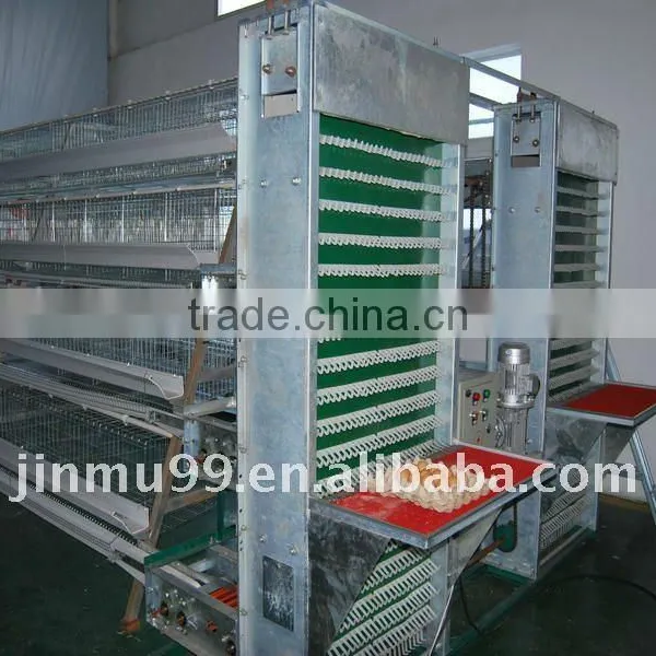Best-selling Egg Collection Equipment