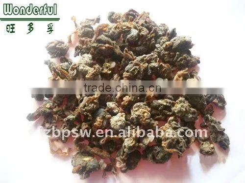 Manufacturer Wholesale Price Fish Feed With High Protein, Shell Meal, Shell Meat|flesh Powder photo-3