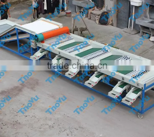 Salable Fresh Garlic Grading Machine 0086 15937167907 photo-2