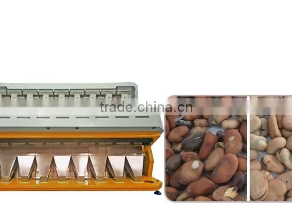 2016 High Accuracy Professional Grain Ccoffee Bean Sorting Machine For Coffee,Cocoa,Bean,Wheat photo-1