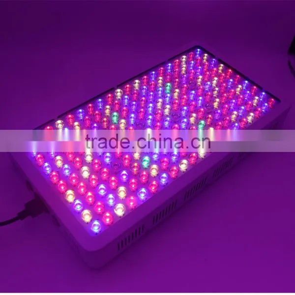 300w/600w/1000w Double Chips LED Grow Light Full Specturm for Greenhouse and Indoor Plant Flowering Growing (5w Leds) photo-4