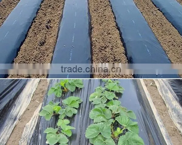 Agricultural Plastic Black Builders Mulch Film for Weed Control photo-2