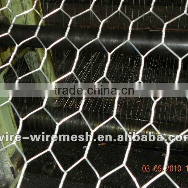 Hexagonal Decorative Chicken Wire Mesh Product on .com photo-2