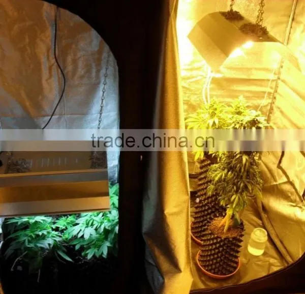 Non-toxic Mini Green House, Green House Polycarbonate, Green House Tents