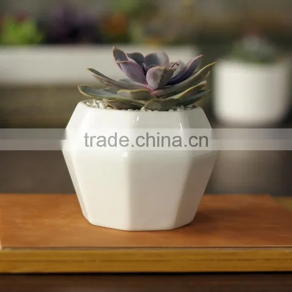 Creative Octagon White Ceramic Small Interior Decorative Pots photo-2