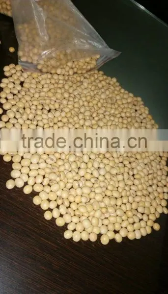 Soyabean photo-5