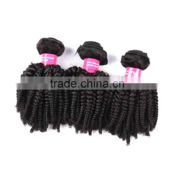 On Sale Virgin Malaysian Afro Kinky Curl Human Hair Extension photo-6