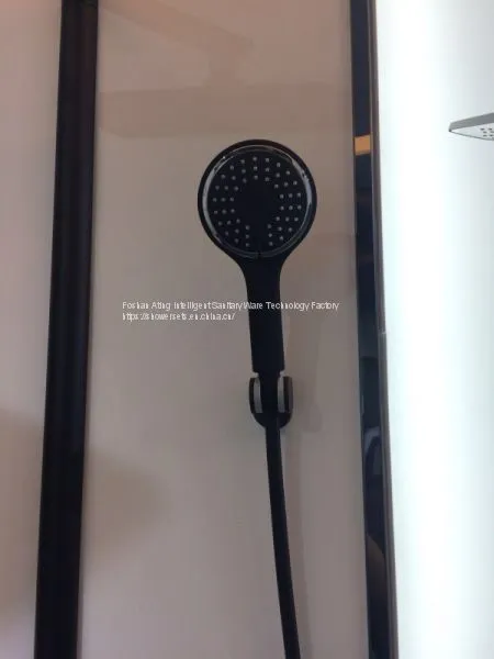 IT-P003B Shower Systems With Platform Foshan Factory Black Colour Luxury Rain Shower 3 Functions photo-4