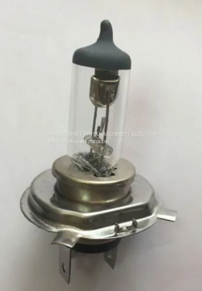 Bajaj 3 Wheeler Spare Parts Electric Motorcycle Bulb Light Bulb photo-2