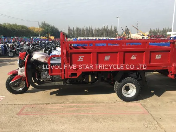 Gasoline Tricycle Double Shock Absorber Trike Three Wheeler Cargo Loader photo-4