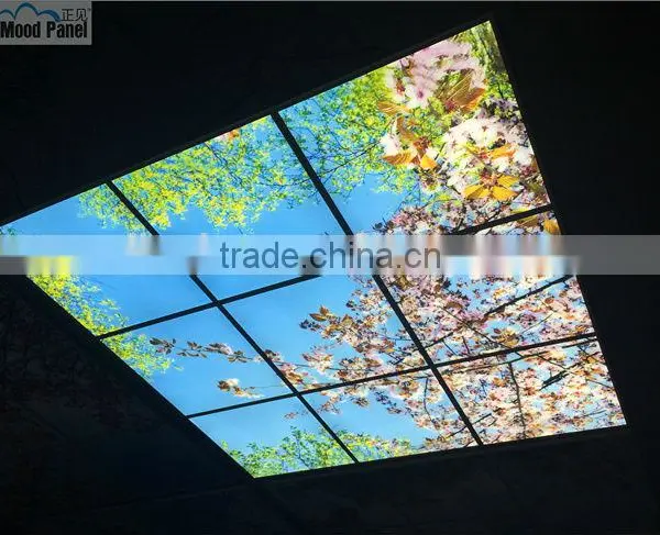 2015 Led Sky Ceiling Panel Blossom Image photo-3