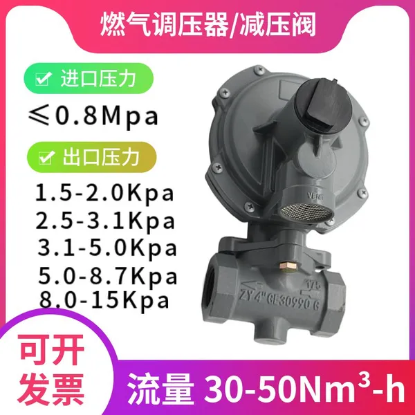 Gas Pressure Reducing Valve HSR Natural Gas Regulator HSR Type Secondary Pressure Reducing Valve Manufacturer photo-3