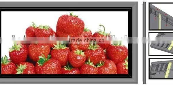 Fixed Frame Screen/fast Fold Screen/electric Screen/manual Screen/floor Screen/3D Screen China Factory Supply!!!