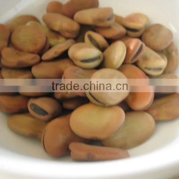 High Quality Bean Skin Peeling Machine/soybean Skin Removing Machine for Sale photo-4