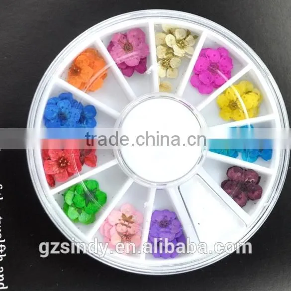 Stickers & Decals Cheap 3D Dry Flower, Mix 12 Color Decorations Real Dried Dry Flower for Nail Art Decorations ZX:GH741 photo-3