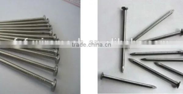 Common Round Iron Wire Nails Factory/Common Nails photo-3