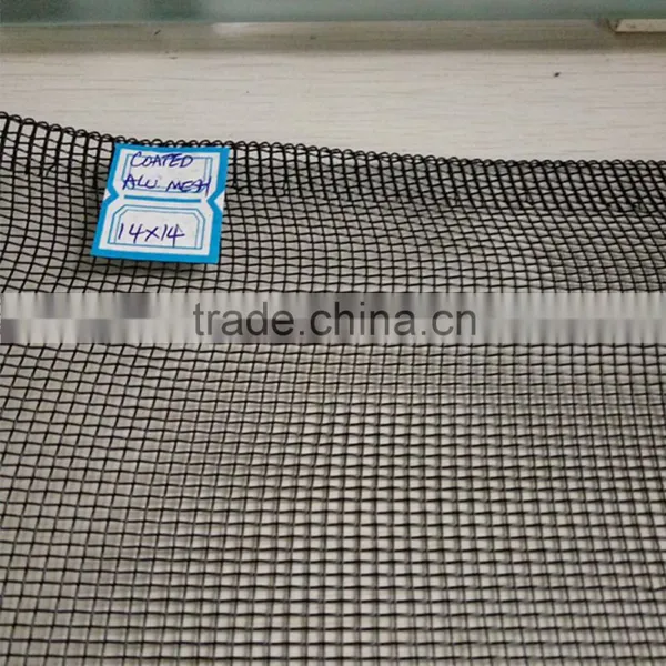 Window Screen photo-2