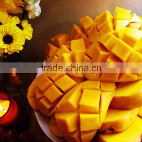 Best Quality Fresh Mango