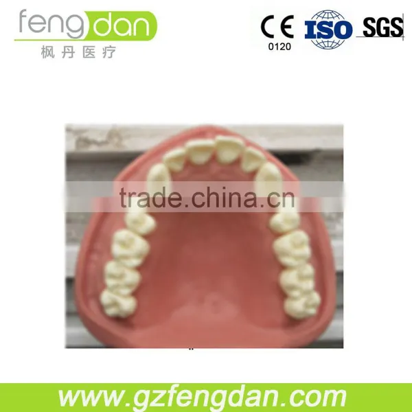 Dental Supply High Quality a Advanced Dental Manikin photo-3