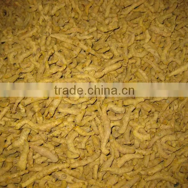 Fresh Dried Turmeric Finger