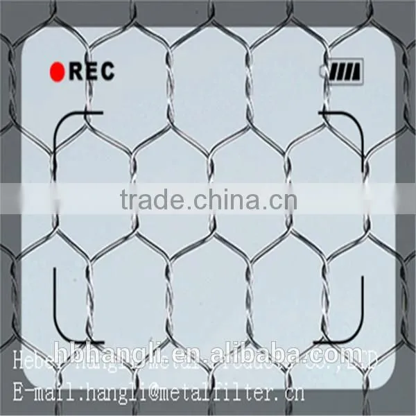 2015hot Sale China Supplier Low Price Stainless Steel Hexagonal Wire Netting photo-3