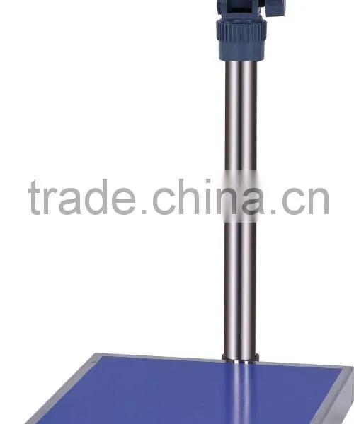 China Guangzhou Supplier 300kg Platform Scale Weighing Balance for Sale