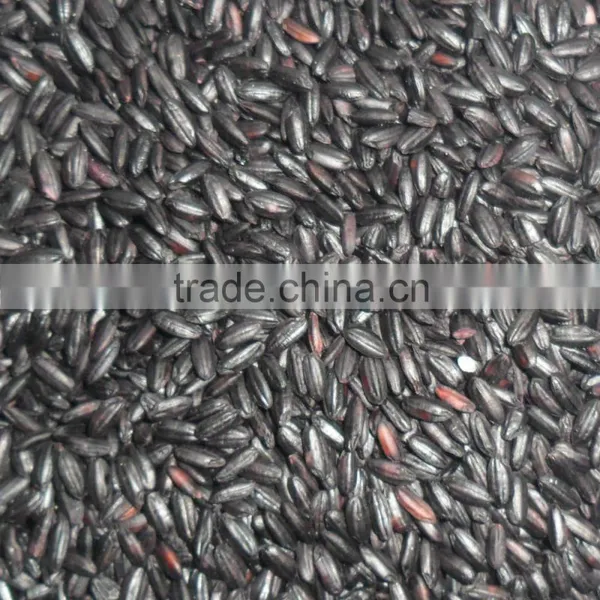 Black Rice