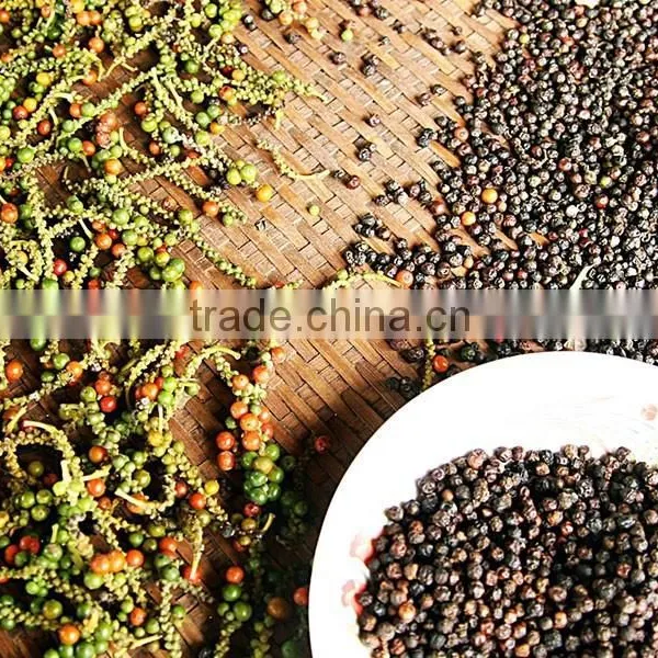 BLACK PEPPER VILACONIC photo-6