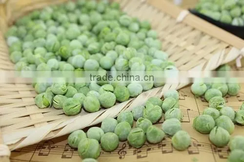 Freeze Dried Green Peas photo-4