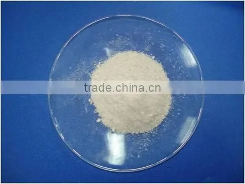 Chitosan Powder
