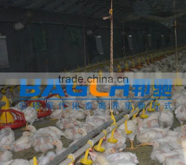 Best Selling Durable Automatic Poultry Nipple Drinker for Chicken photo-5